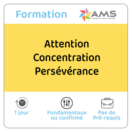 Attention Concentration Persévérance