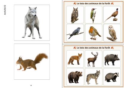 Les P'tits curieux : les animaux de la forêt