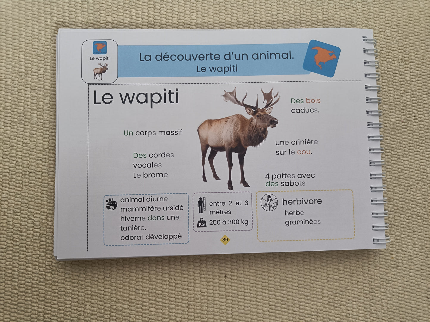Manuel lecture GS niveau 2