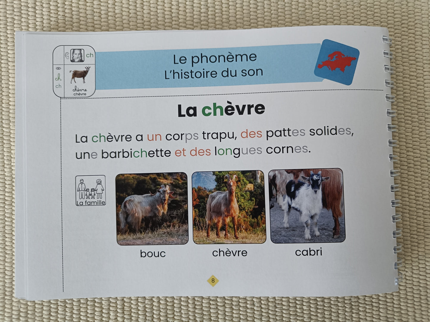 Manuel lecture GS niveau 3