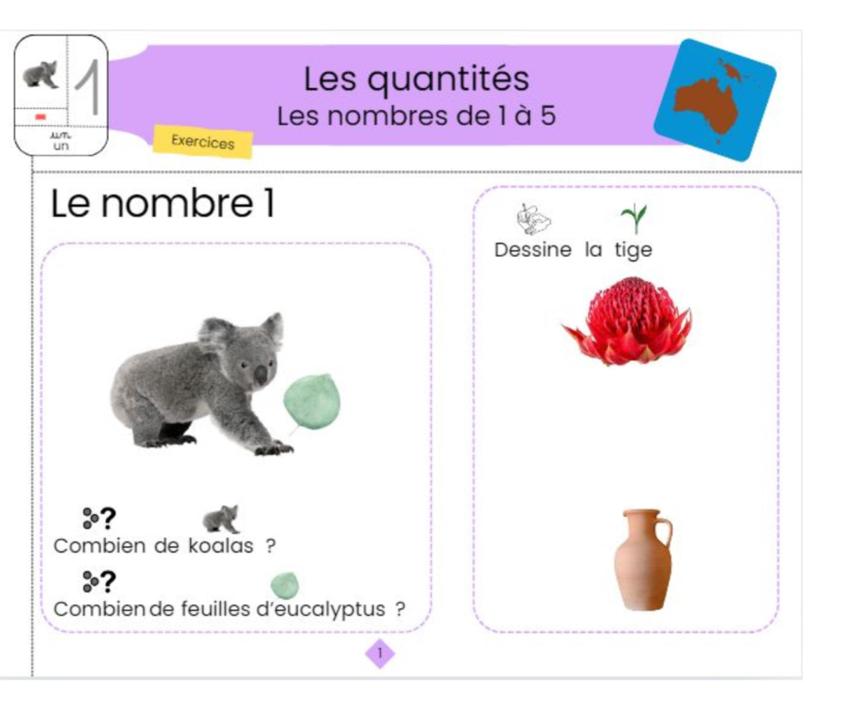 Pack MATHS MS (programme complet)