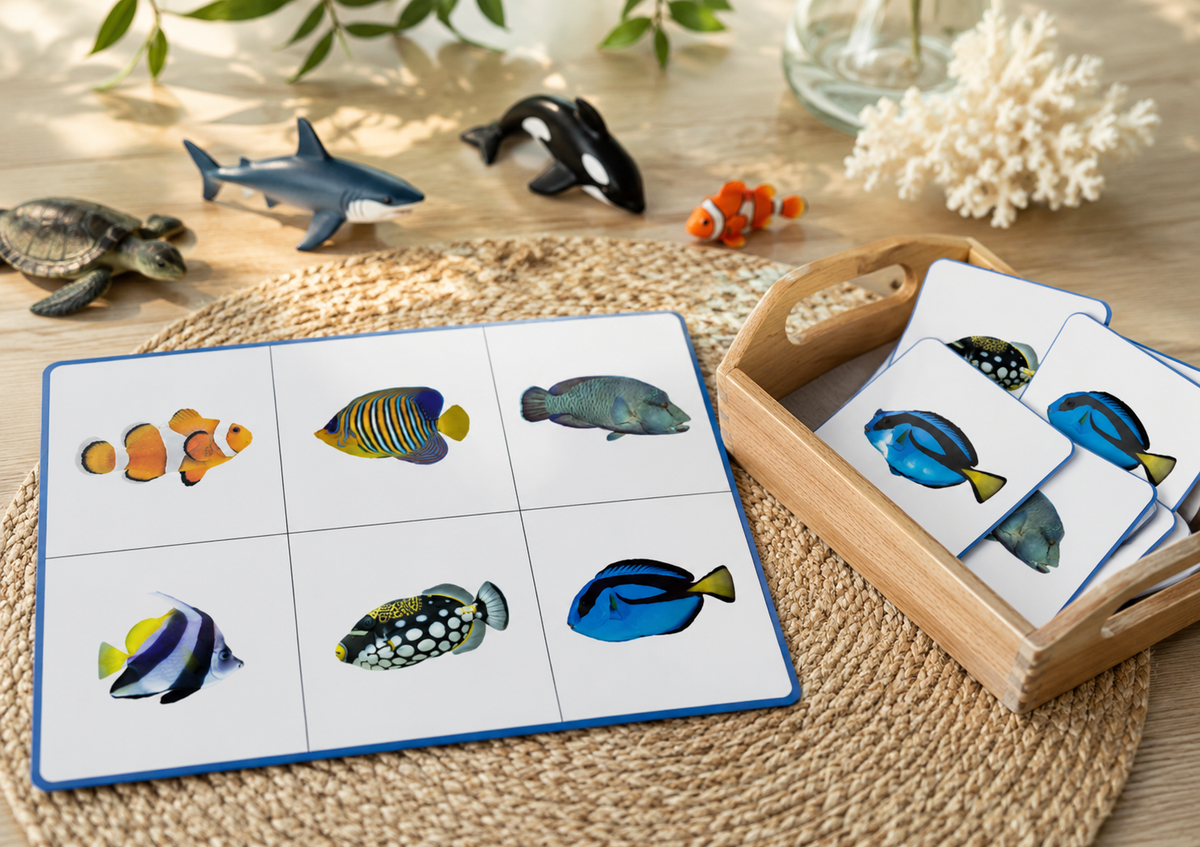 Pack d'activités Montessori – Les animaux marins (2-4 ans)