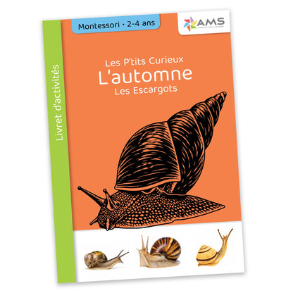 Les P'tits curieux : L'automne L'escargot