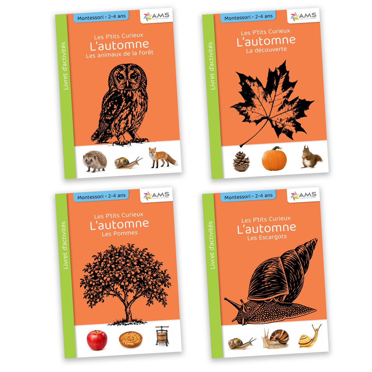 Les P'tits curieux : Collection Automne