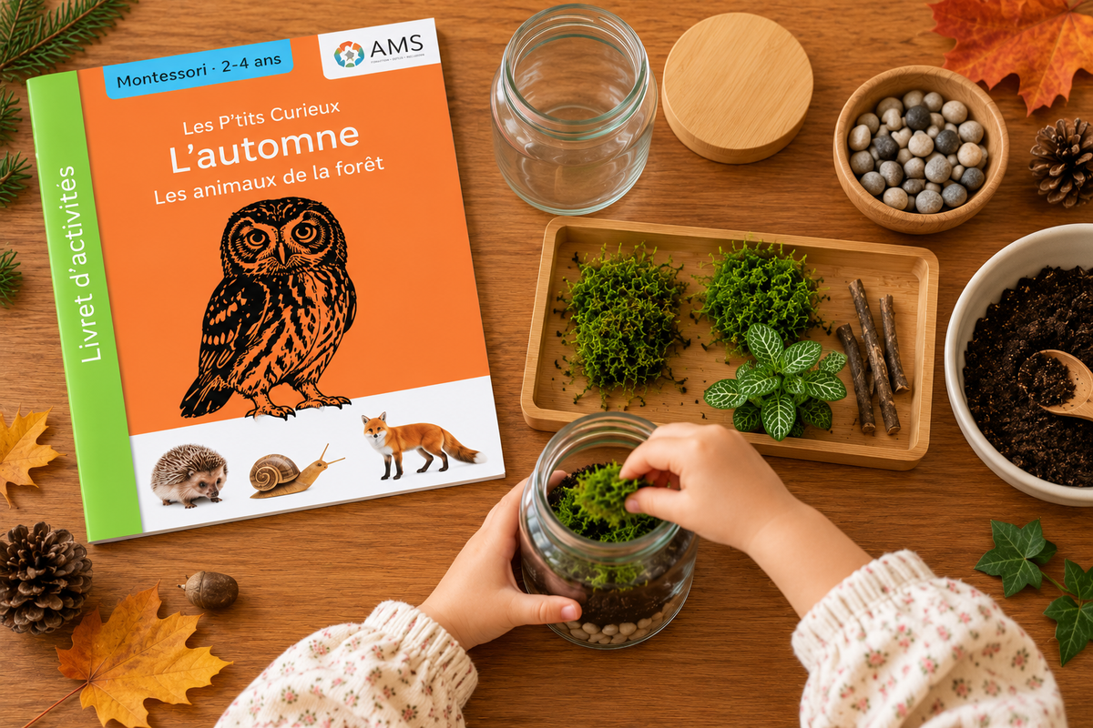 Les P'tits curieux : Collection Automne