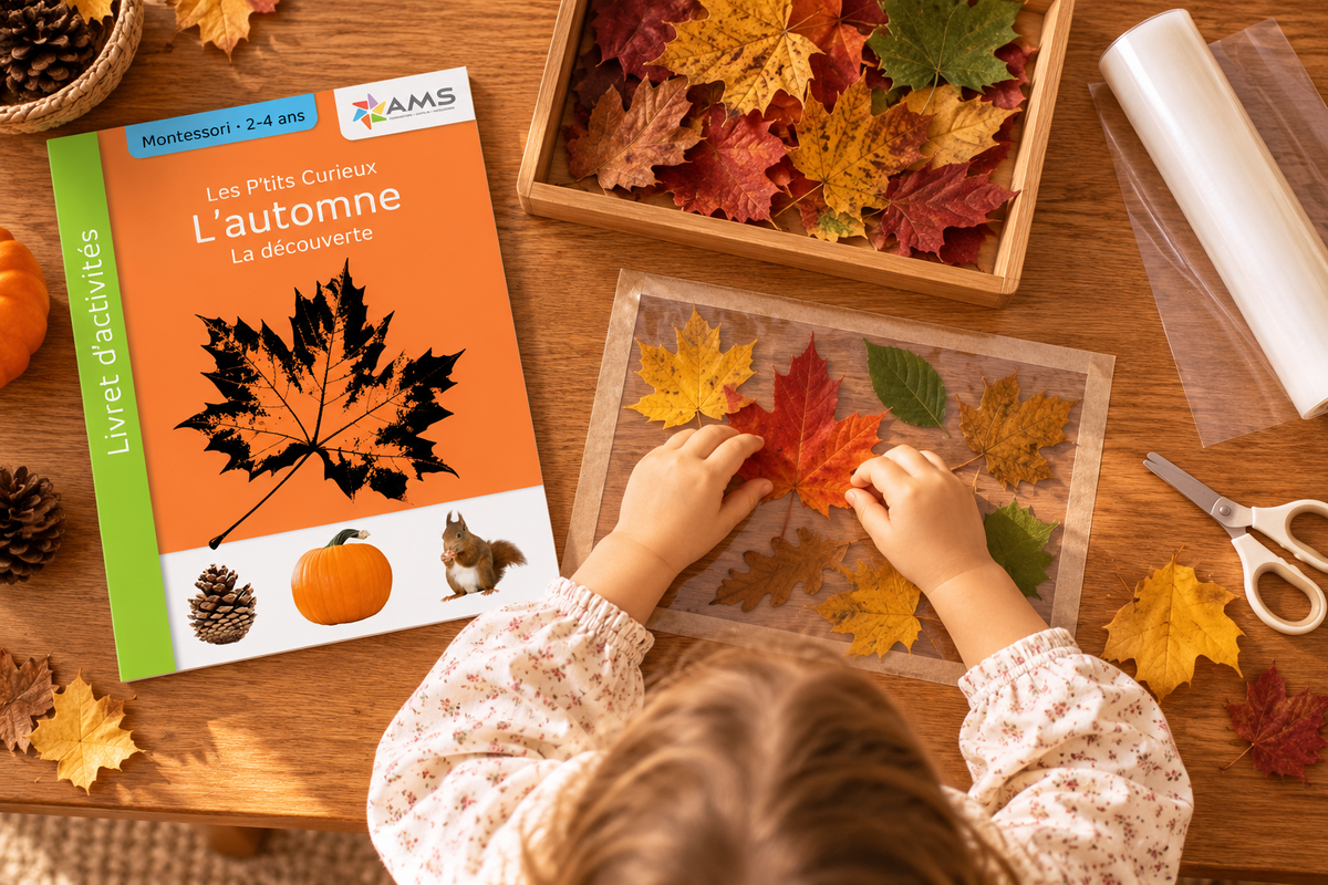 Les P'tits curieux : Collection Automne