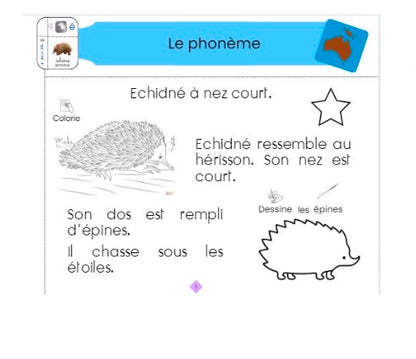 Pack LECTURE MS (programme complet)