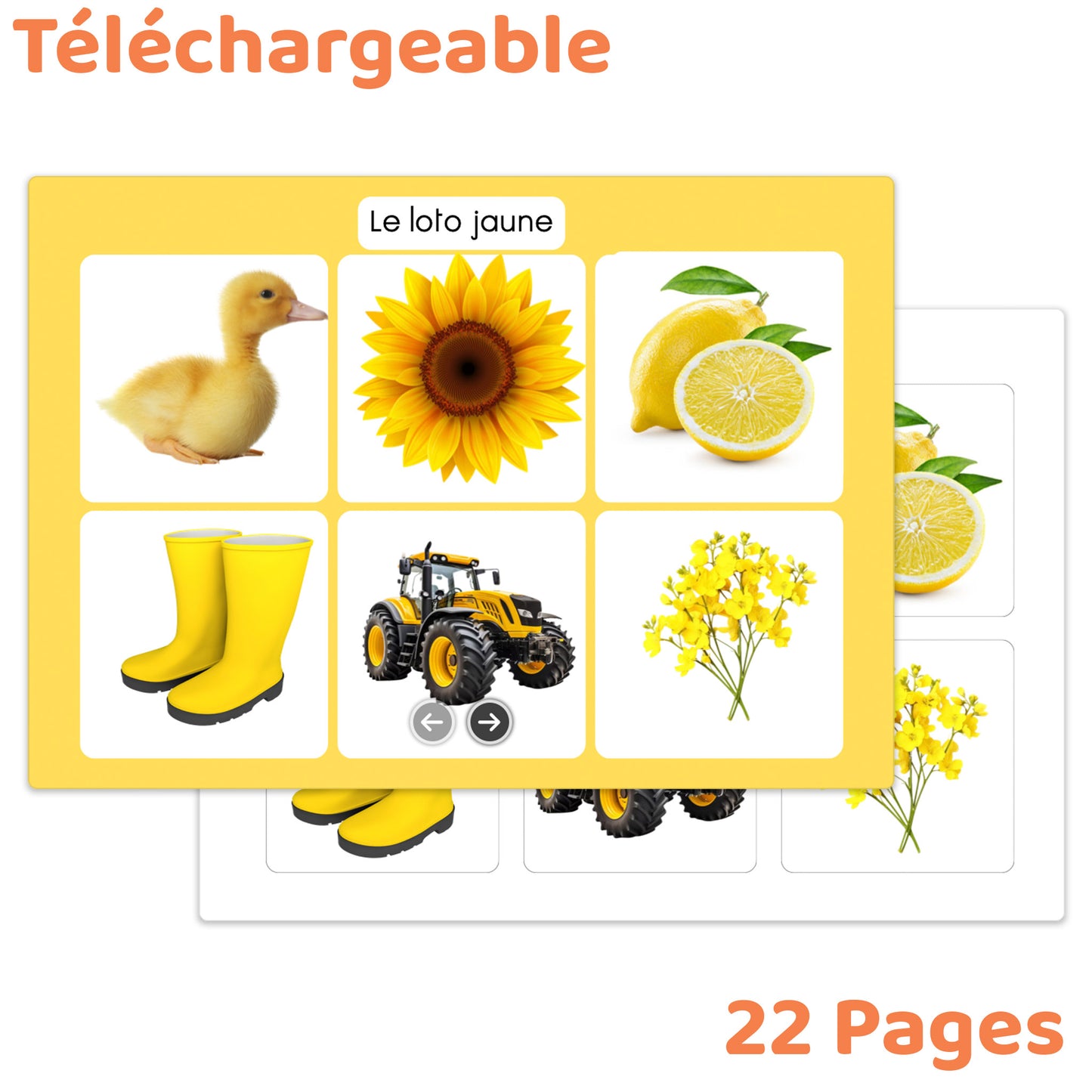 le loto des couleurs téléchargeable