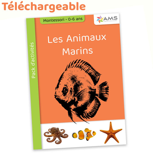 Pack d'activités Montessori – Les animaux marins (2-4 ans)