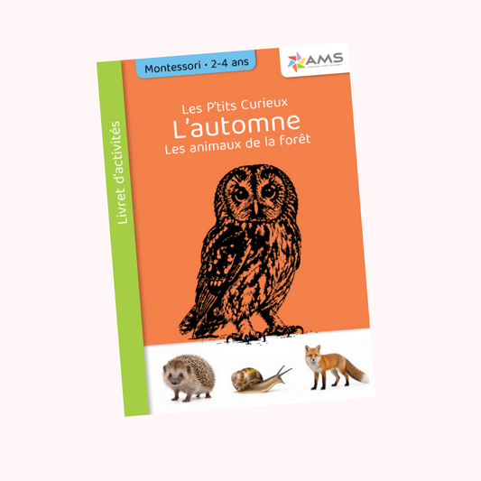 Les P'tits curieux : les animaux de la forêt