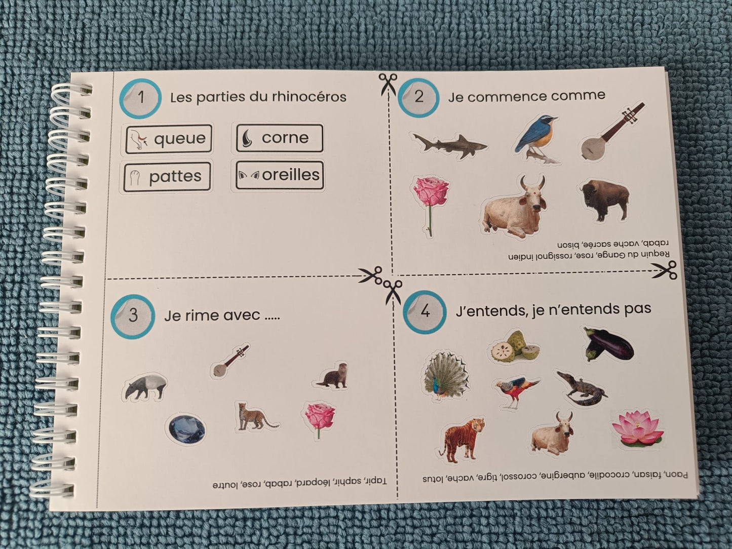 Manuel lecture MS niveau 2