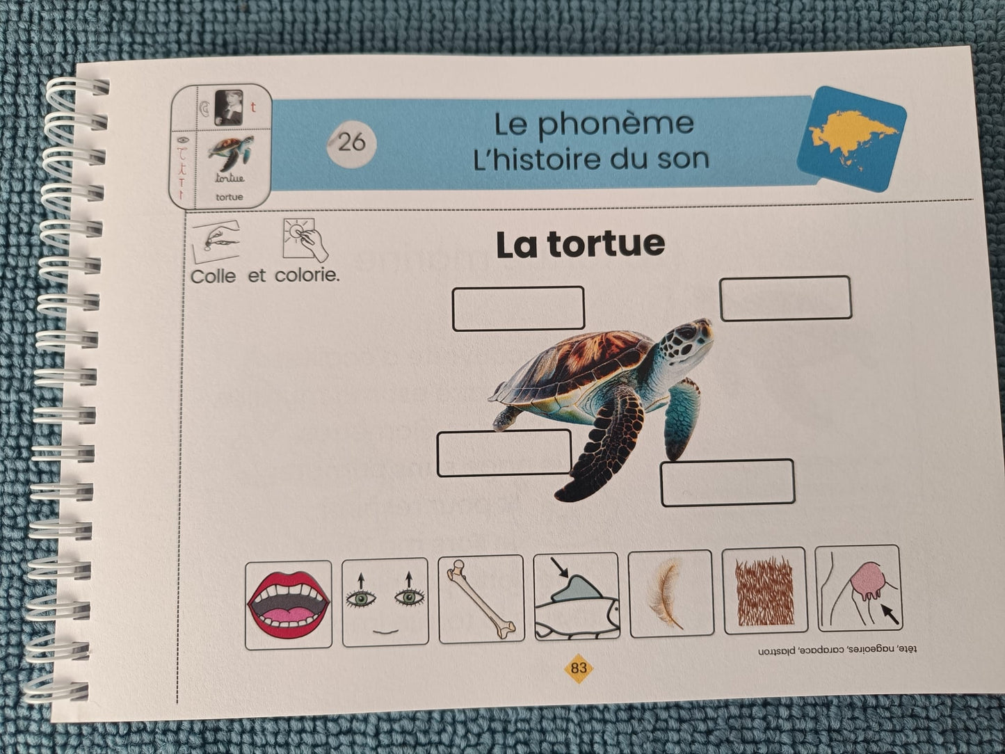 Manuel lecture MS niveau 2