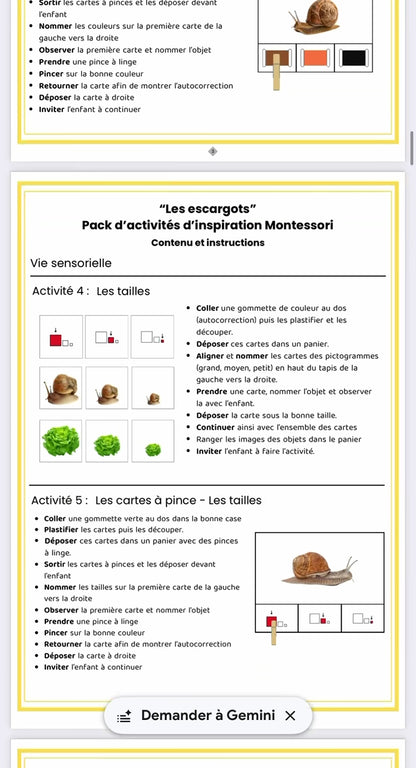 Les P'tits curieux : L'automne L'escargot