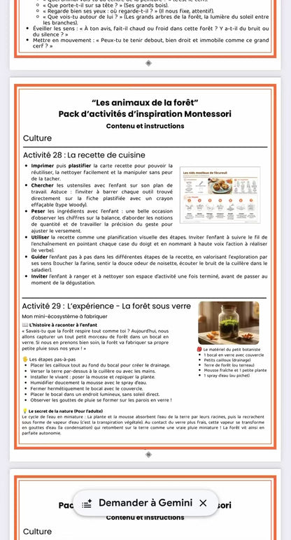 Les P'tits curieux : Collection Automne